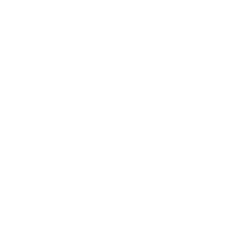 Play controls