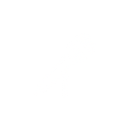 Whistle